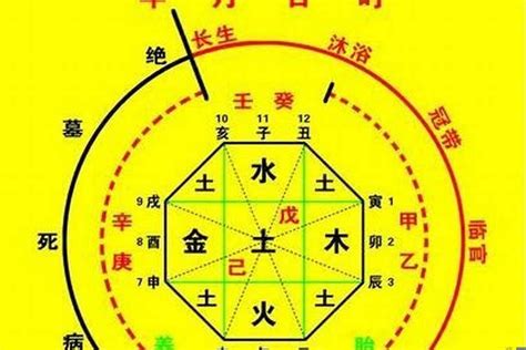 免費八字排盤喜用神|生辰八字算命、五行喜用神查詢（免費測算）